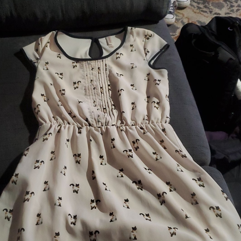 Ladies dress
